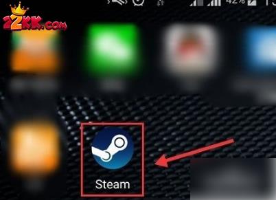 steam